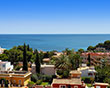 palma_nova